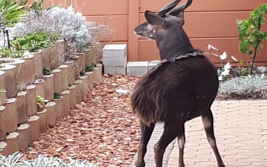 5 Bedroom Property for Sale in Dana Bay Western Cape